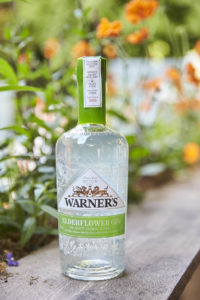 Joe Wilson / Warners Gin (Debut Art, illustrator)