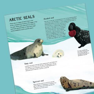 Nic Jones paints both poles for Quarto in “North Pole/ South Pole”. (illustrator, The Artworks)