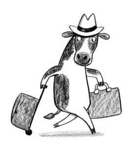 Emily Fox Illustrates Celebrity Joke Book (Arena Illustration, Children’s Books, illustrator, Publishing Jobs)