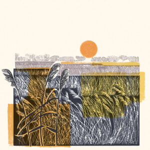 Claire Harrup joins The Artworks! – The Building Boy with David Litchfield & Ross Montgomery (Bright Group, Children’s Books, Events, illustrator) (illustrator, The Artworks)