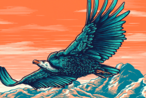 Tobias Hall- New Signing (illustrator)