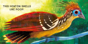 GARETH LUCAS / ABRAMS APPLESEED (illustrator, Meiklejohn, publishing)