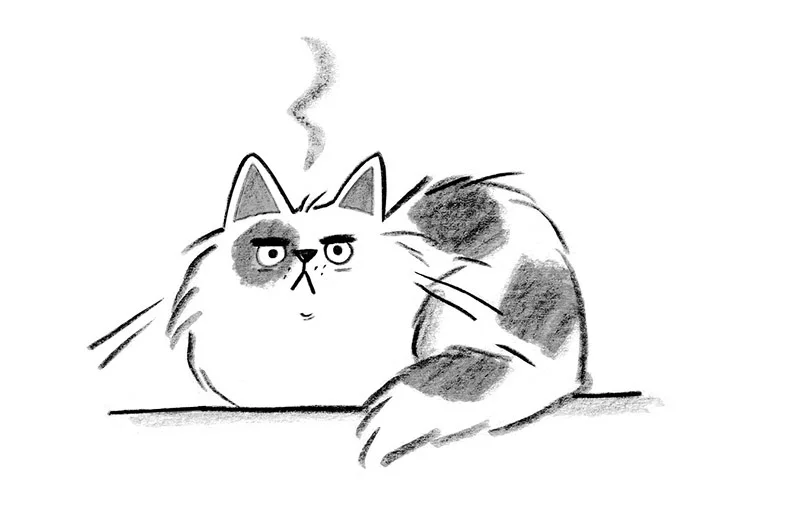 What Goes Up White and Comes Down Yellow?