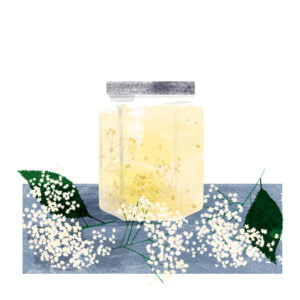 Claire Harrup illustrates Jams With a Twist for Harper Collins. (illustrator, publishing, The Artworks)