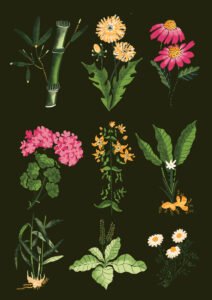 Florencia Rigiroli for Ohlalá Magazine (editorial, illustrator, Phosphor Art)