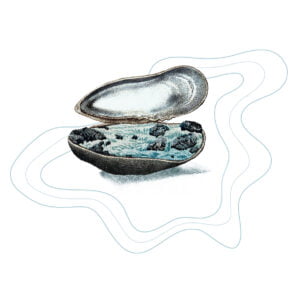 Album Artwork by Lynn Hatzius (illustrator, Phosphor Art)