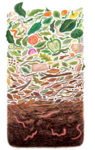 KRISTYNA LITTEN’S GROWS HER OWN (Arena Illustration, Children’s Books, illustrator, publishing)