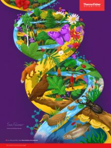 Thermo Fisher Scientific – 70 Years Of DNA Progress – Sam Falconer (Debut Art, illustrator)