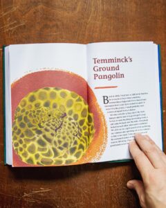 Emily Robertson – An Atlas of Endangered Species (illustrator, publishing)