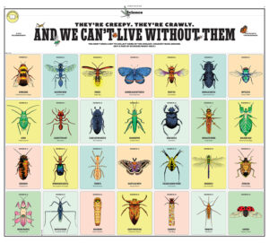 Tim McDonagh – New York Times Kids (editorial, illustrator)