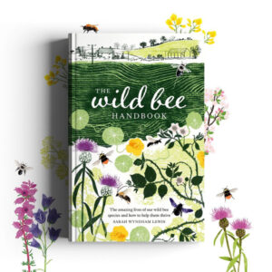 Quite the buzz: Claire Harrup Illustrates The Wild Bee Handbook for Hardie Grant and Quadrille (illustrator, publishing, The Artworks)