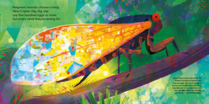 Gareth Lucas – Albert Whitman & Company (illustrator, Meiklejohn, Publishing Jobs)
