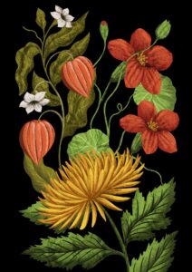 Blooming Gorgeous! Lucy Rose illustrates The Hidden Histories of Flowers for Hardie Grant (illustrator, publishing, The Artworks)