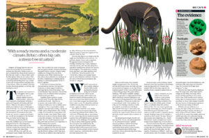 Big Cats in the British Countryside, Illustrated by Daniel Long (editorial, illustrator, The Artworks)
