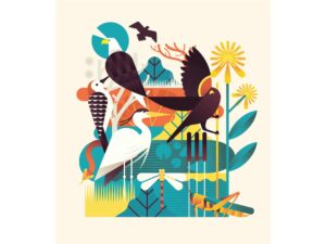 Carole Verbyst – Big Book of Facts for Usborne (Exhibitions, NB Illustration, publishing)