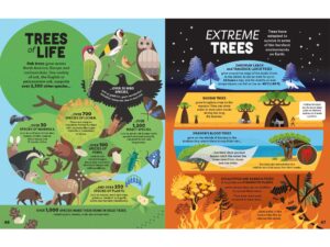 Carole Verbyst – Big Book of Facts for Usborne (Exhibitions, NB Illustration, publishing)