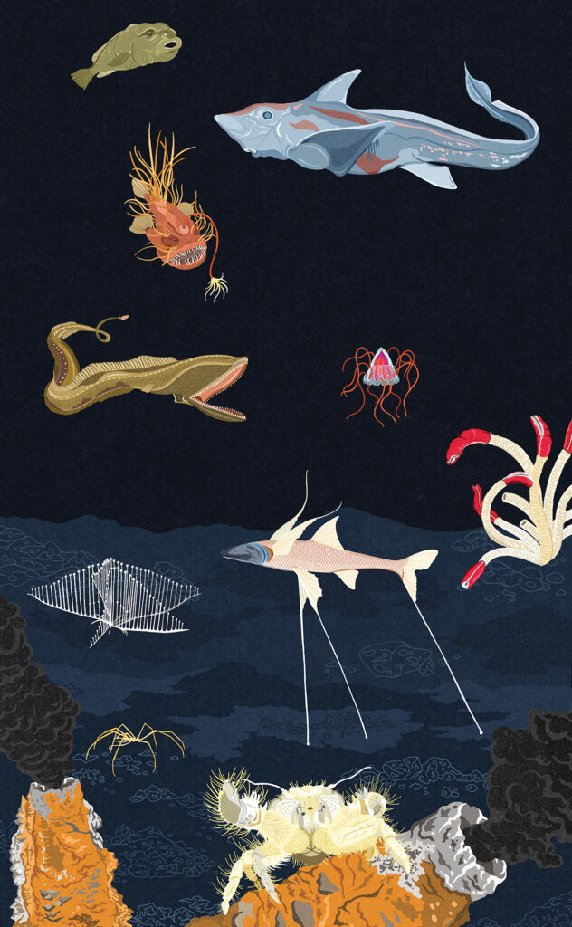 Dawn Cooper, The Artworks