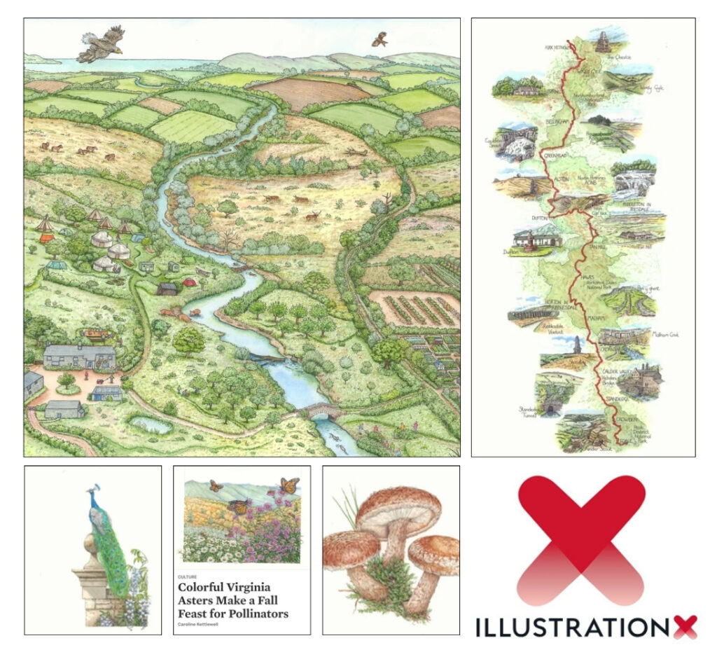 Liz Pepperell Liz Pepperell IllustrationX