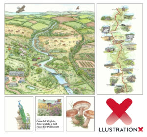 Liz Pepperell IllustrationX 1