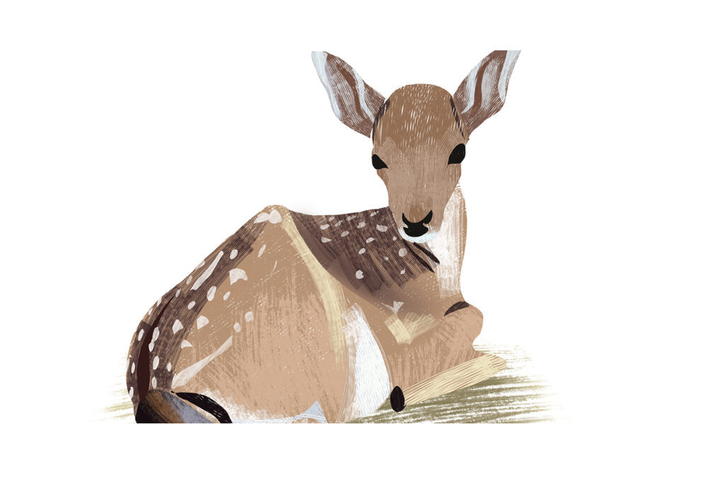 Nic Jones, The Artworks