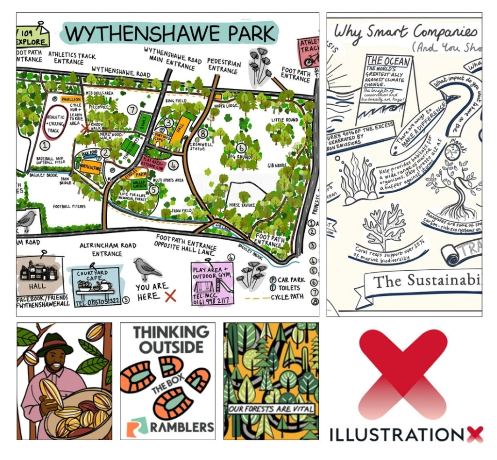 Scratchy Hen Design Scratchy Hen Design IllustrationX