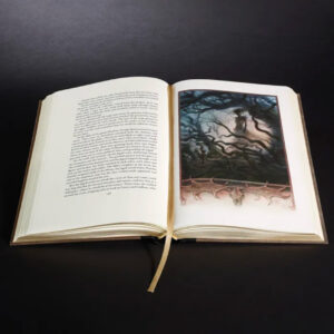 JOHN HOWE – MYTHAGO WOOD FOR FOLIO SOCIETY (Arena Illustration, illustrator, publishing)