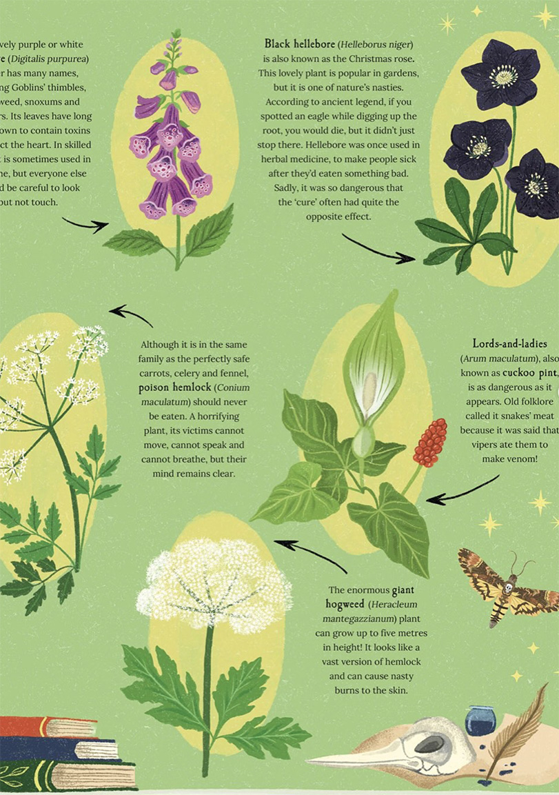 Dawn Cooper, A Magical Guide to Plants (illustrator, publishing, The Artworks)