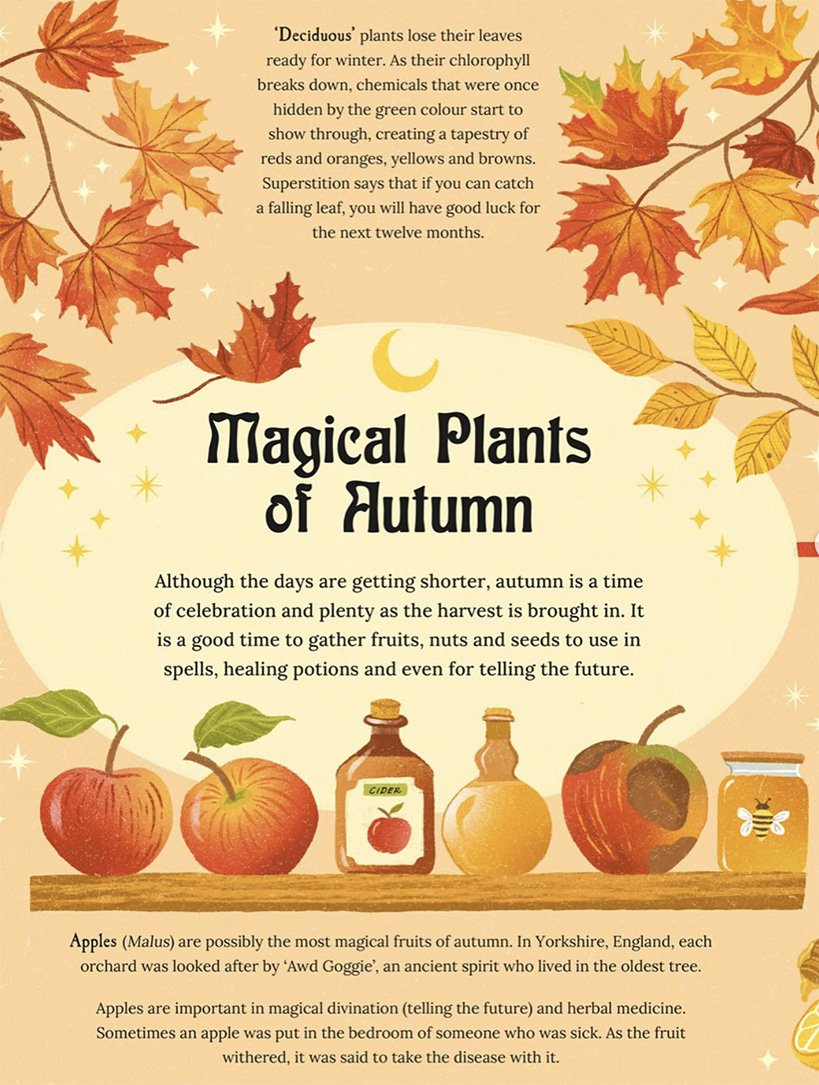 Dawn Cooper, A Magical Guide to Plants (illustrator, publishing, The Artworks)