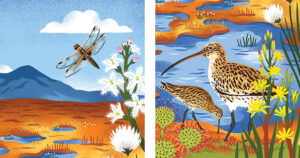 The RSPB Annual report illustrated by Lucy Davey (illustrator, The Artworks)