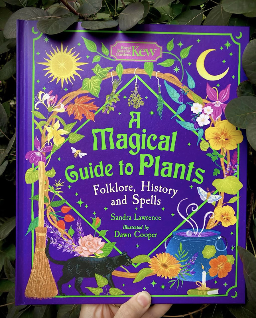 Dawn Cooper, A Magical Guide to Plants (illustrator, publishing, The Artworks)
