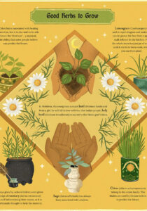 Dawn Cooper, A Magical Guide to Plants (illustrator, publishing, The Artworks)