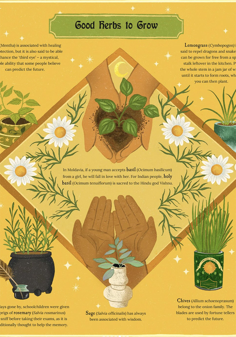 Dawn Cooper, A Magical Guide to Plants (illustrator, publishing, The Artworks)
