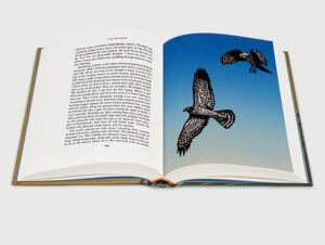 Chris Wormell and The Folio Society, H is for Hawk (illustrator, publishing, The Artworks)