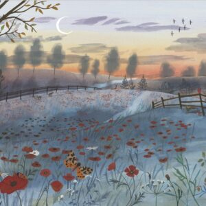 Gordy Wright for The Observer (Bright Group, editorial, illustrator)