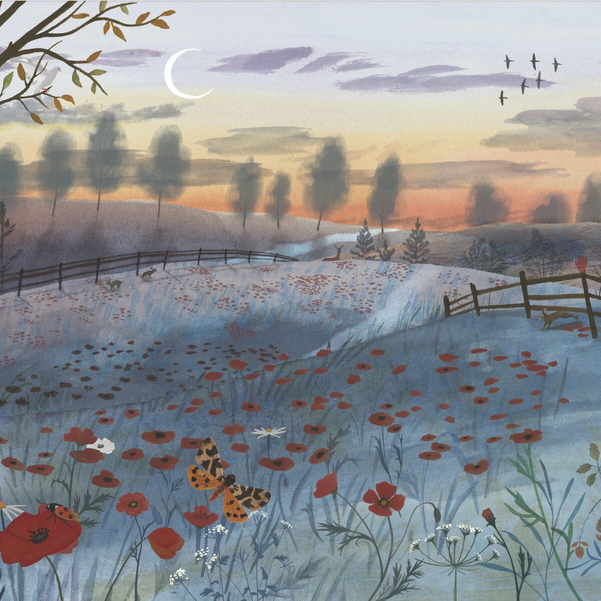 Gordy Wright for The Observer (Bright Group, editorial, illustrator)