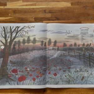 Gordy Wright for The Observer (Bright Group, editorial, illustrator)