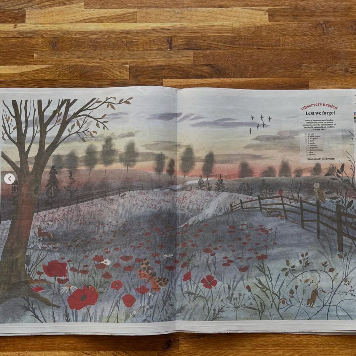 Gordy Wright for The Observer (Bright Group, editorial, illustrator)