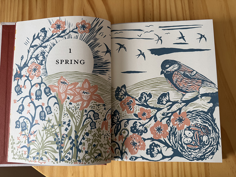 The Country Commonplace Book, illustrated by Debbie Powell (illustrator, publishing, The Artworks)