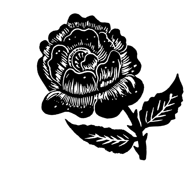 The Country Commonplace Book, illustrated by Debbie Powell (illustrator, publishing, The Artworks)