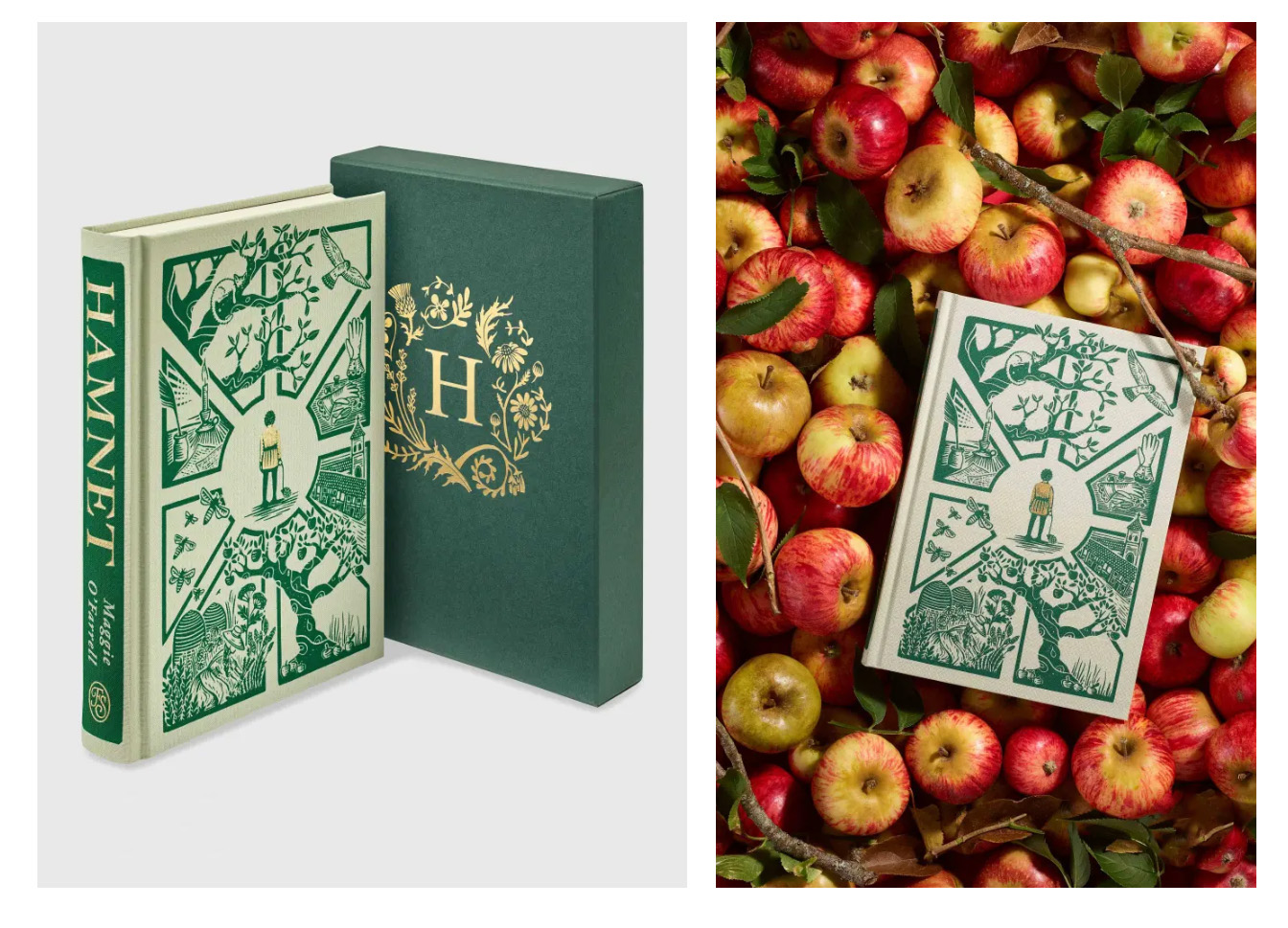 Becca Thorne for The Folio Society’s Hamnet (Illustration Ltd, illustrator, publishing)