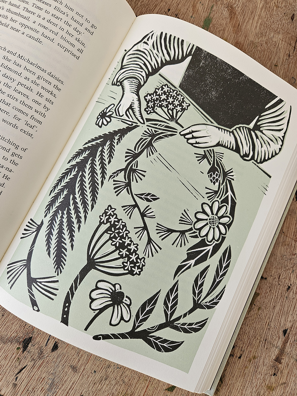 Becca Thorne for The Folio Society’s Hamnet (Illustration Ltd, illustrator, publishing)