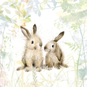 The Bright Agency secures Catherine Rayner in licensing representation (Bright Group, illustrator, publishing)