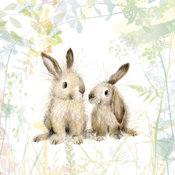 Catherine Rayner 3 – The Bright Agency secures Catherine Rayner in licensing representation (Bright Group, illustrator, publishing) The Bright Agency secures Catherine Rayner in licensing representation (Bright Group, illustrator, publishing)