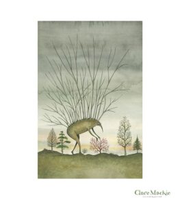 Clare Mackie (Artist Partners Ltd, illustrator)