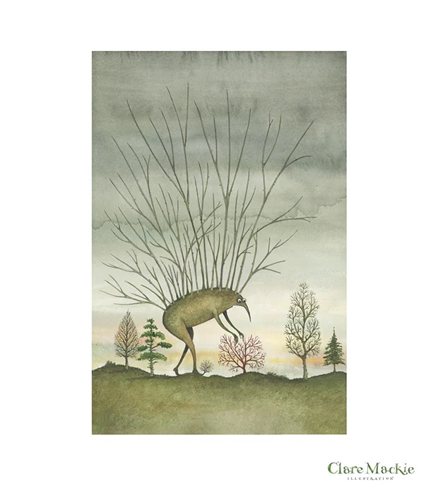 Clare Mackie (Artist Partners Ltd, illustrator)