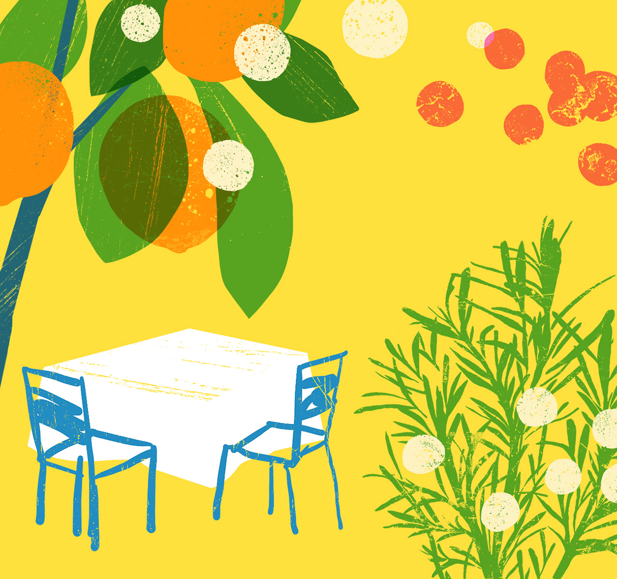 Ana Zaja Petrak – New Artist (illustrator, Meiklejohn)