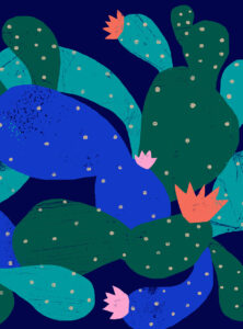 Ana Zaja Petrak – New Artist (illustrator, Meiklejohn)