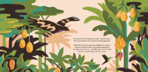 Anna Broadhurst  – Hotel Chocolat (illustrator, Meiklejohn)