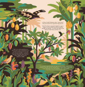 Anna Broadhurst  – Hotel Chocolat (illustrator, Meiklejohn)