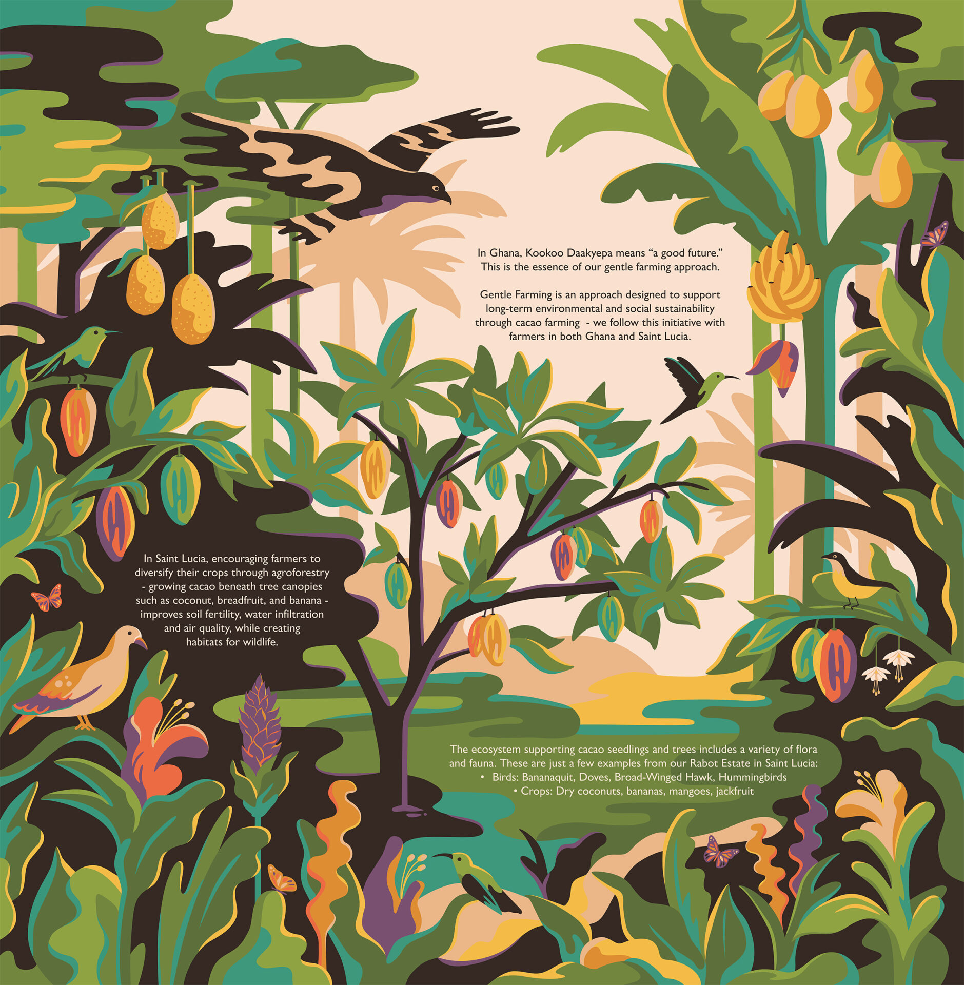 Anna Broadhurst image 1 – Anna Broadhurst – Hotel Chocolat - Anna Broadhurst – Hotel Chocolat (illustrator, Meiklejohn) Anna Broadhurst – Hotel Chocolat (illustrator, Meiklejohn)